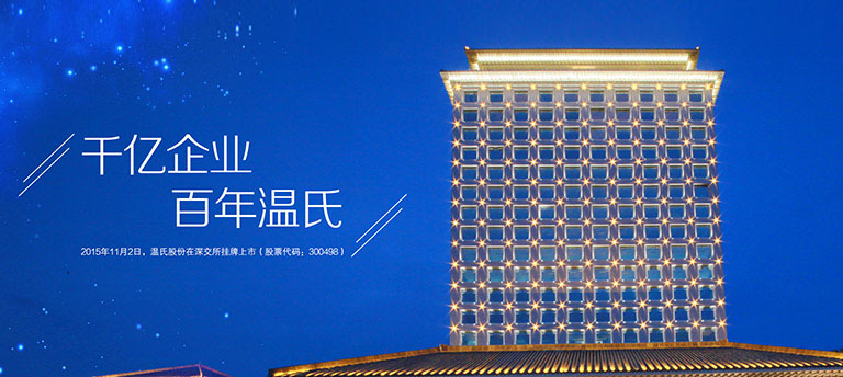 888集团电子游戏股份